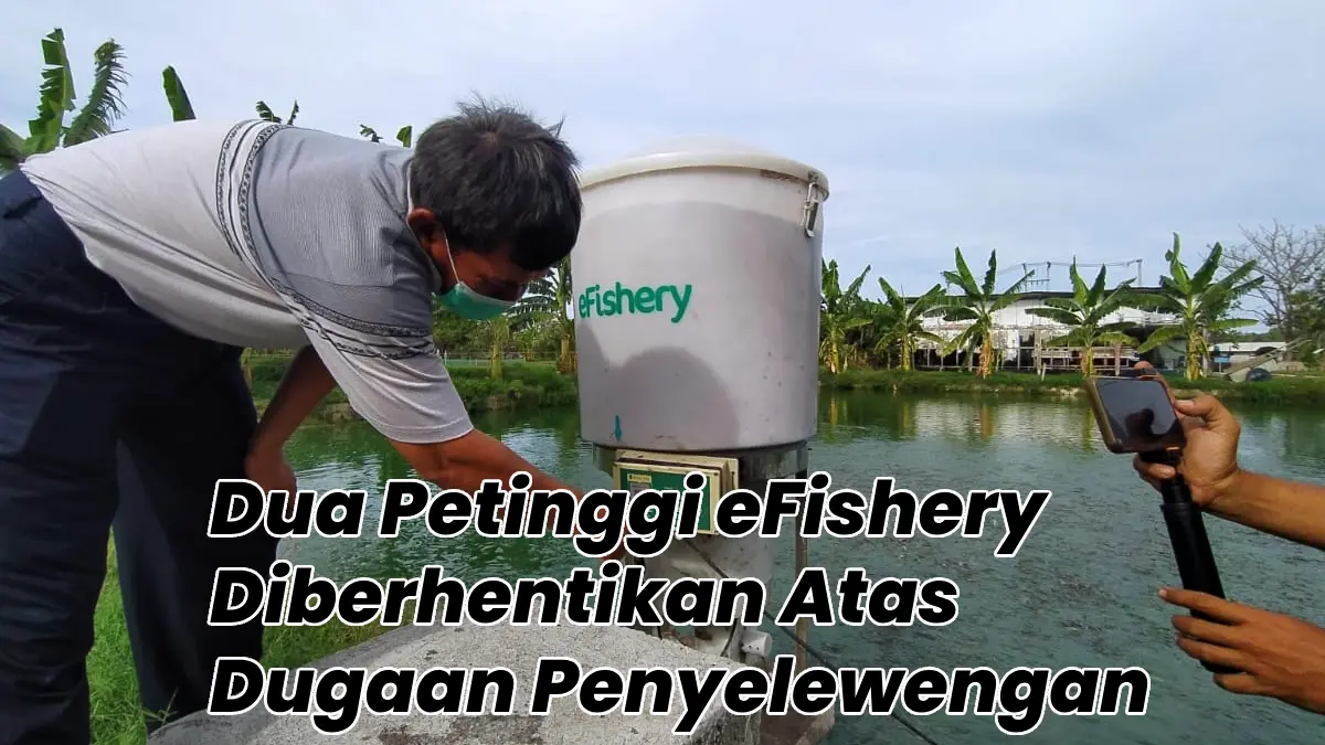 Dua Petinggi eFishery Diberhentikan Atas Dugaan Penyelewengan